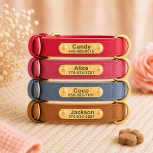 May include: A stack of four pet collars in red, pink, blue, and brown. Each collar features a gold-toned metal nameplate riveted to the center, engraved with a name and phone number: Candy 445-489-8016, Alice 774-534-2251, Coco 658-583-7101, and Jackson 774-534-2251.