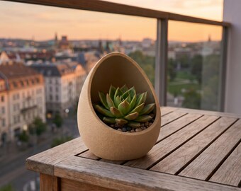 Nest Succulent Planter • Hugging Pot for 2"–4" Plants, Modern Minimalist Design