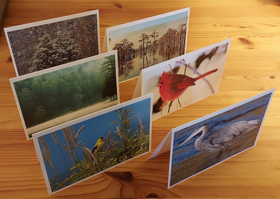 6 Photo Notecards - Variety Pack #4 - 5x7 Blank Inside - Etsy