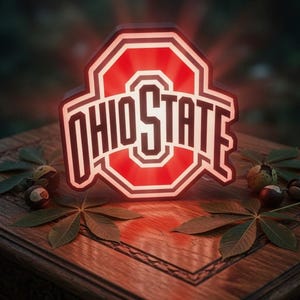 May include: A glowing red and white Ohio State University logo sign. The sign is in the shape of the school's iconic 'O' and features the words 'OHIO STATE' in bold, white letters. The sign is placed on a wooden surface with leaves and nuts.