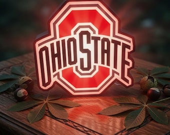May include: A glowing red and white Ohio State University logo sign. The sign is in the shape of the school's iconic 'O' and features the words 'OHIO STATE' in bold, white letters. The sign is placed on a wooden surface with leaves and nuts.