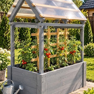 Peut inclure: Un bac à jardin surélevé en bois gris doté d'un toit pointu en polycarbonate transparent et d'un treillis en bois intégré. À l'intérieur, plusieurs plants de tomates avec des fruits verts et rouges poussent dans la terre. Un arrosoir en métal est posé à côté.