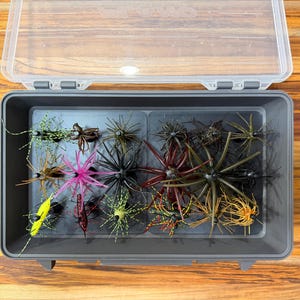 May include: A rectangular gray plastic tackle box with a clear hinged lid containing an assortment of multi-colored fishing lures. The lures feature various spiky, rubberized appendages in shades of yellow, pink, black, brown, and green.