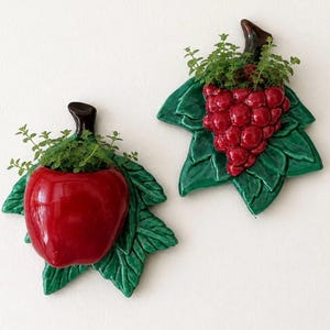 May include: Two ceramic wall planters shaped like fruit. One is a glossy red apple and the other is a cluster of red grapes, both set against green leaves with brown stems. Each planter contains small green plants growing from the top opening.