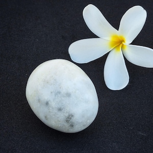 Könnte beinhalten: Ein glatter, abgerundeter weißer Stein mit dezenten grauen Sprenkeln neben einer fünfblättrigen weißen Plumeria-Blüte mit leuchtend gelber Mitte. Der Stein hat eine polierte Textur und eine ovale Form, während die Blüte weiche Blütenblätter besitzt.