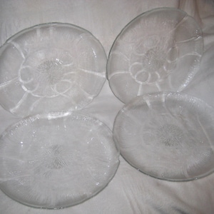 Arcoroc Glass Plates Fleur Pattern Set of 4 10 1/2"