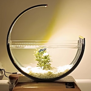 Può includere: Un acquario circolare moderno con cornice nera e illuminazione integrata. La vasca contiene acqua, pietre bianche e una piccola pianta. La base in legno mostra il testo "Art Ay DESING".