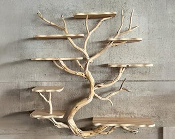 Tree branch floating shelf art entryway unique wavy live edge solid wood wall mounted bookshelf home decor