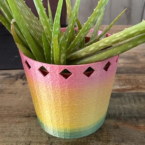 Rainbow Gradient 3D-utskriven kruka – Modern örtkruka för suckulenter