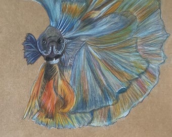 Kleurrijke vechtvis (Betta Splendens)