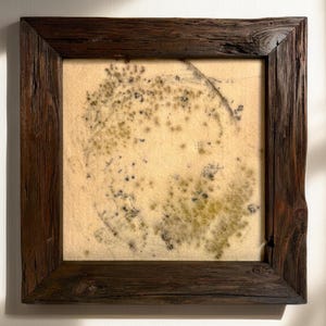 May include: Square artwork with a beige backdrop, showcasing a botanical print in green and black hues. It's framed in a rustic, dark brown wooden frame, giving a natural, textured look. The piece is likely a print or pressed botanical, suitable for home decor.