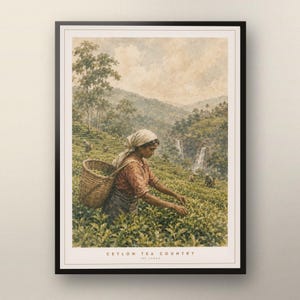 以下が含まれることがあります： スリランカのセイロン・ティー・カントリーの茶畑を描いた額装アートプリント。頭を覆い、編みかごを背負って茶葉を摘む人物が描かれており、背景には丘陵地帯と滝が見える。下部には「CEYLON TEA COUNTRY SRI LANKA」の文字がある。