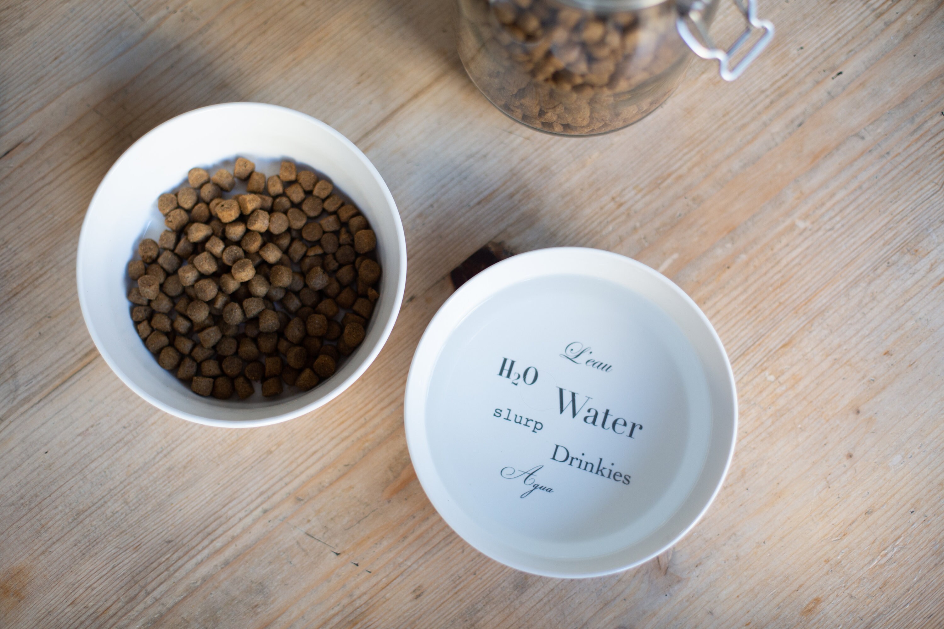 Dog Water Bowl, Small Bone China Dog Bowl, Ceramic Dog Dish, Gifts for Dogs, Dog Lovers, Smaller