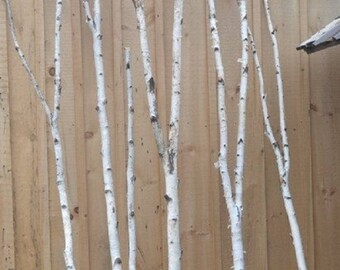 Birch Forked Poles (One Pole)