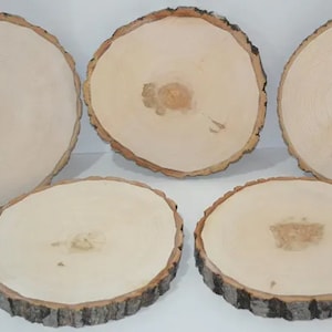 Wood slices 2 1/2&quot; to 3&quot; diameter x 1/2&quot; thick. Wood Slabs, Tree Slices, Log Slices, Rustic Decor.