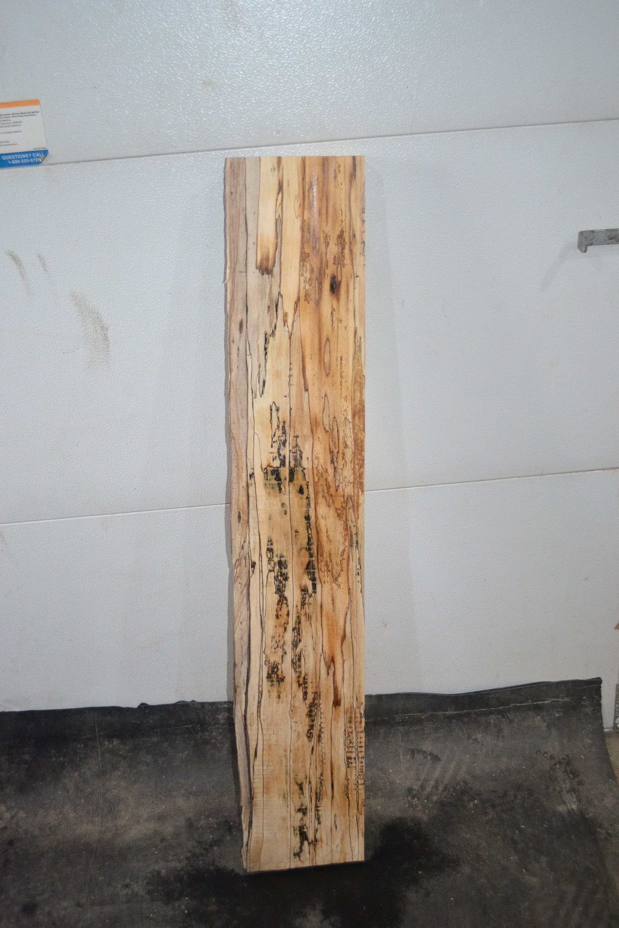 Ambrosia Spalted Maple Live Edge Slab (SMLE10)