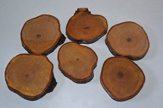 Buy Handmade Set of 5 Coasters plus the base Natural Wood Oak Pear