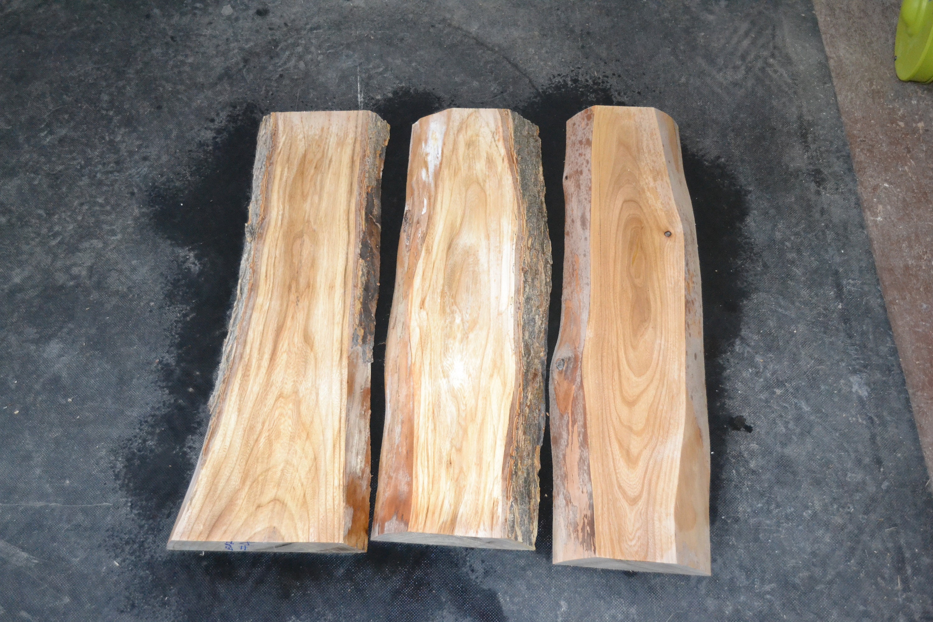 Elm Live Edge Slabs Set of Three (ELE2)