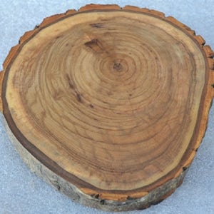 May include: A natural wood slice with a light brown color and a rough, irregular edge. The wood grain is visible and the center of the slice has a darker brown color.