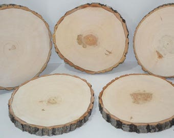 Fette di legno di pioppo, tondini di legno, lastre di legno da 8" a 9" di diametro x 1" di spessore.