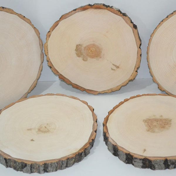 Aspen Log/Tree Round Slices (Five) 9 " to 10" diameter x 1" thick