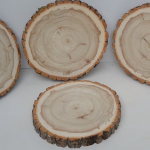 11&quot; to 12&#39;&#39; diameter x 3/4- 1&quot; thick Balm of Gilead Log/Tree Round Slices/Crafting wood Kiln Dried & Sanded. Wedding decor