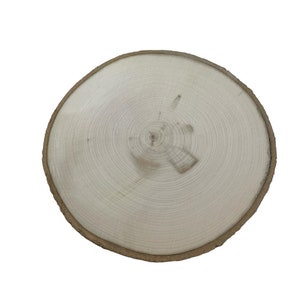 Log/Tree Round/Slice &quot;ASPEN Wood Slice&quot; 13&quot; to 14&quot;x 1 1/2&quot;