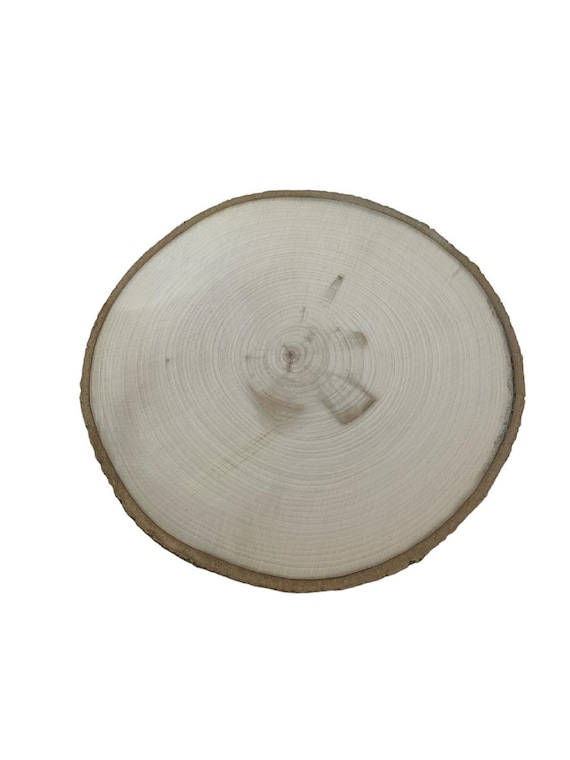 Log/Tree Round/Slice "ASPEN Wood Slice" 13" to 14"x 1 1/2"