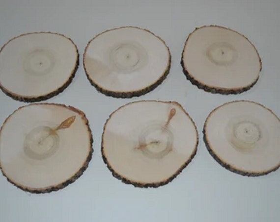 Aspen Wood Slices, Wood Rounds, Wedding Center Pieces, Wood Slabs 9" to 11" diameter x 1" thick. (Six slices)