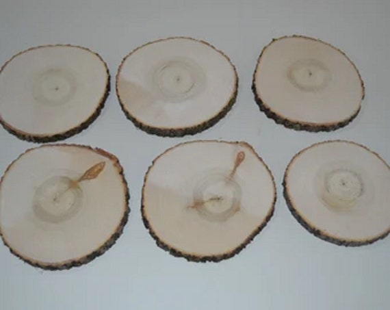 22 CHERRY WOOD SLICES WOODEN CRAFTS WEDDING ORNAMENTS ROUNDS DRIED