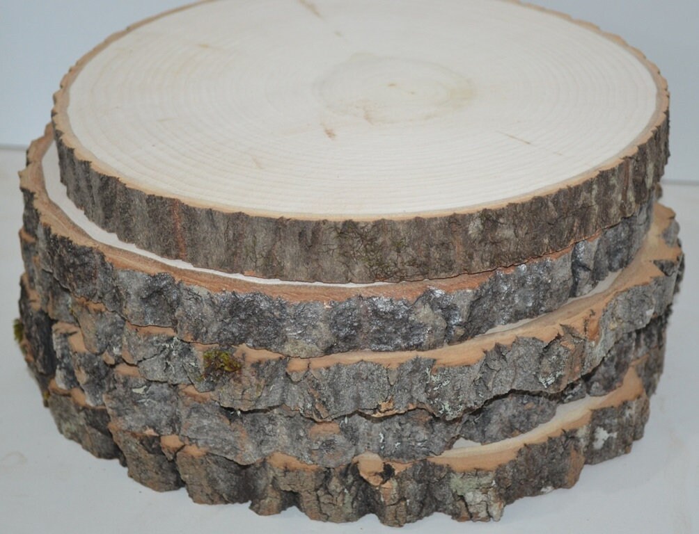 Aspen Wood Slices, Wood Rounds, Wood Slabs 8 - 9 diameter x 1 thick.