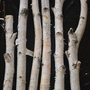 Birch sticks, Branches, Logs, Birch poles.