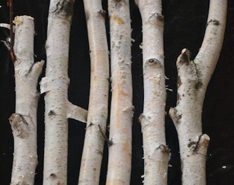 Birch sticks, Branches, Logs, Birch poles.