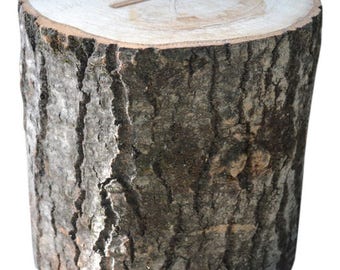 Aspen Tree Stump Large 10" to 12" Diameter x 4" to 36" Tall