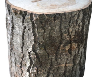 Aspen Tree Stump Large 10&quot; to 12&quot; Diameter x 4&quot; to 36&quot; Tall
