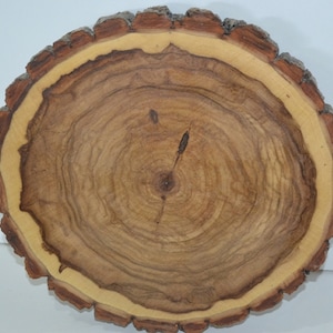 Log/Tree Round/Slice &quot;Balm of Gilead&quot;  12 1/2&quot; to  26&quot;&quot; (Plus) diameter x 1 1/4&quot;-2&quot; Thick Sanded No Finish