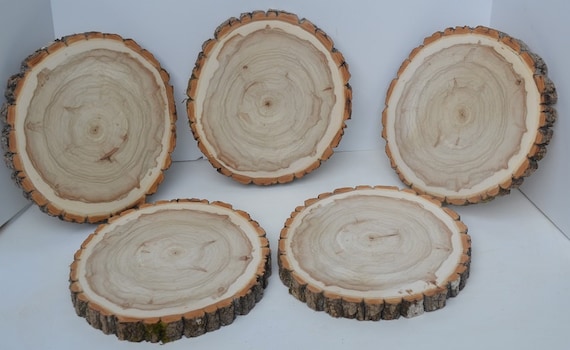 Wood Slices, Wood Slabs, Log Slices 9 to 10 diameter x 1 thick Kiln Dried &  Sanded, Woodland Decor, Wedding Centerpieces.