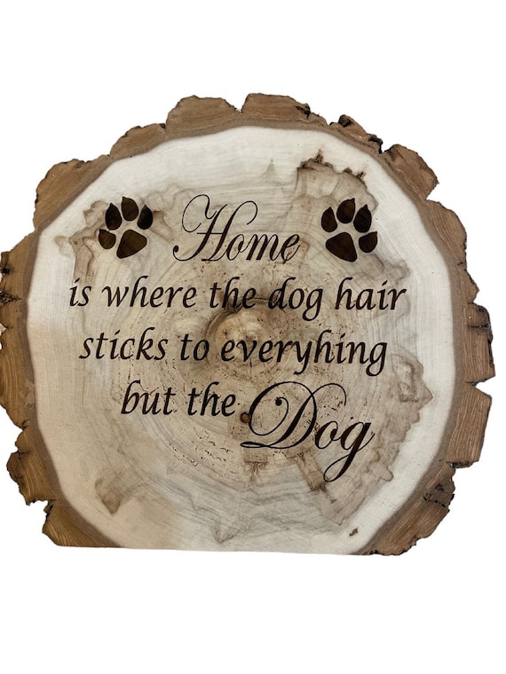 Home is Where the Dog Hair Sticks to everything but the Dog, self stand up wood slice on a beautiful Wood Slice 8"-9" diameter x 1" Thick