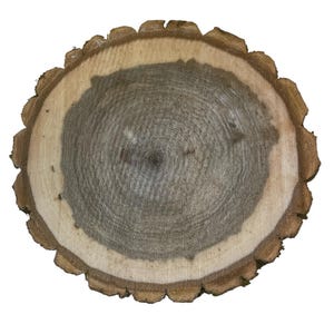 Five Kiln Dried 8&quot; to 9&quot; diameter  Wood Slice, Wood Rounds, Wood Slabs, Tree Slices, Tree Cookies , Wedding centerpieces, Woodland decor.