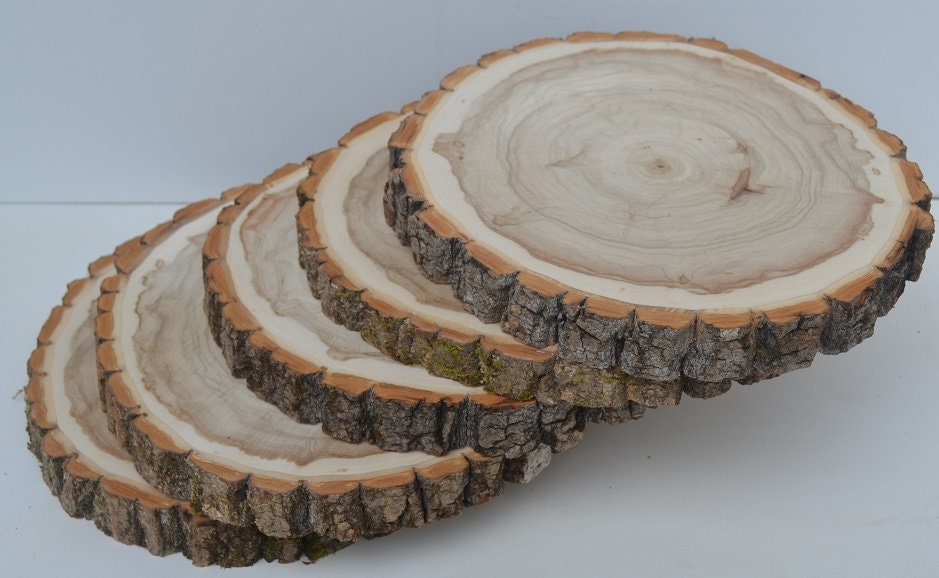 Wood Slices, Wood Slabs, Log Slices 9 to 10 diameter x 1 thick Kiln Dried &  Sanded, Woodland Decor, Wedding Centerpieces.