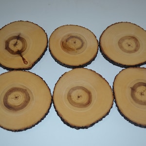 Aspen log-onderzetters set van zes