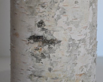 White Birch Pillars-(Set of Five) 3 1/2" to  4 1/2" Diameter x 3"-5"-7" Tall