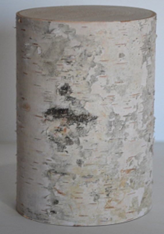 White Birch Poles Wholesale – Spirit of the Woods, Inc