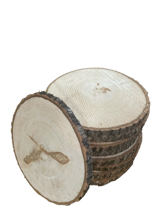 Aspen Log/Tree Round Slices 9" to 11" Weddings, Events Center Pieces arts and Crafts, Engraving Painting