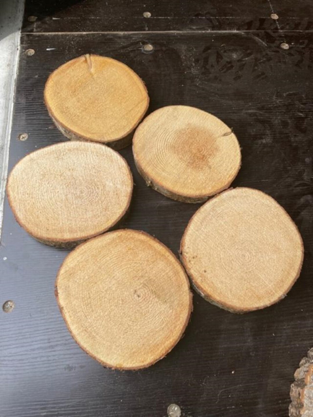 Balsam Fir Wood Slices, Wood Rounds, Wood Slabs NOT Sanded 4 to 5 1/2 Diameter X 3/4 1 Thick