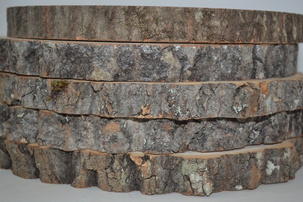 Aspen Wood Slices, Wood Rounds, Wood Slabs 8 - 9 diameter x 1 thick.