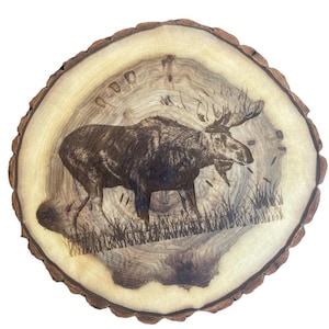 May include: A wood slice with a woodburned image of a moose standing in a field of grass. The wood slice has a natural bark edge.
