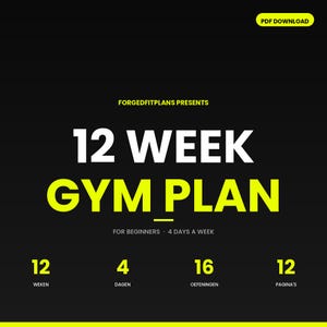 12 Week Beginner Gym Plan PDF | 4 Day Workout Schedule | Upper Lower Split | Printable Fitness Tracker | Instant Download