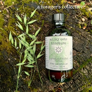 milky oats tincture , oat extract , avena sativa , high latex quality , aforagerscollective