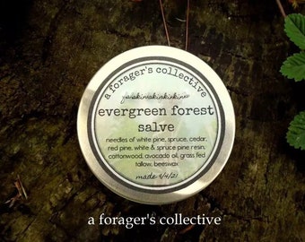 pine resin salve , evergreen balm , herbal ointment , wildcrafted , artisan handmade